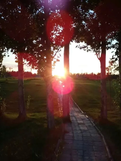 教你如何写一首现代诗