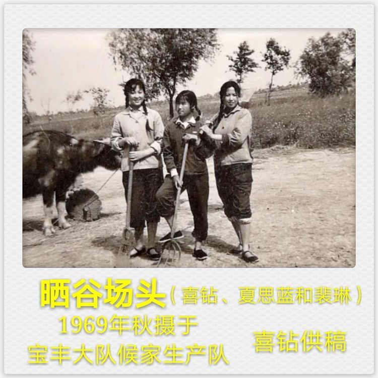 宝应县黄浦公社新建大队知青53周年聚会感言：知青十年，重塑人生