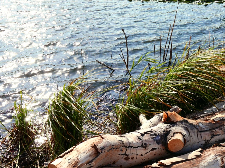 禹州白沙湖风景区