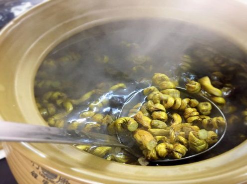 2020年3+证书最低录取167分，广东江门中医药职业学院介绍