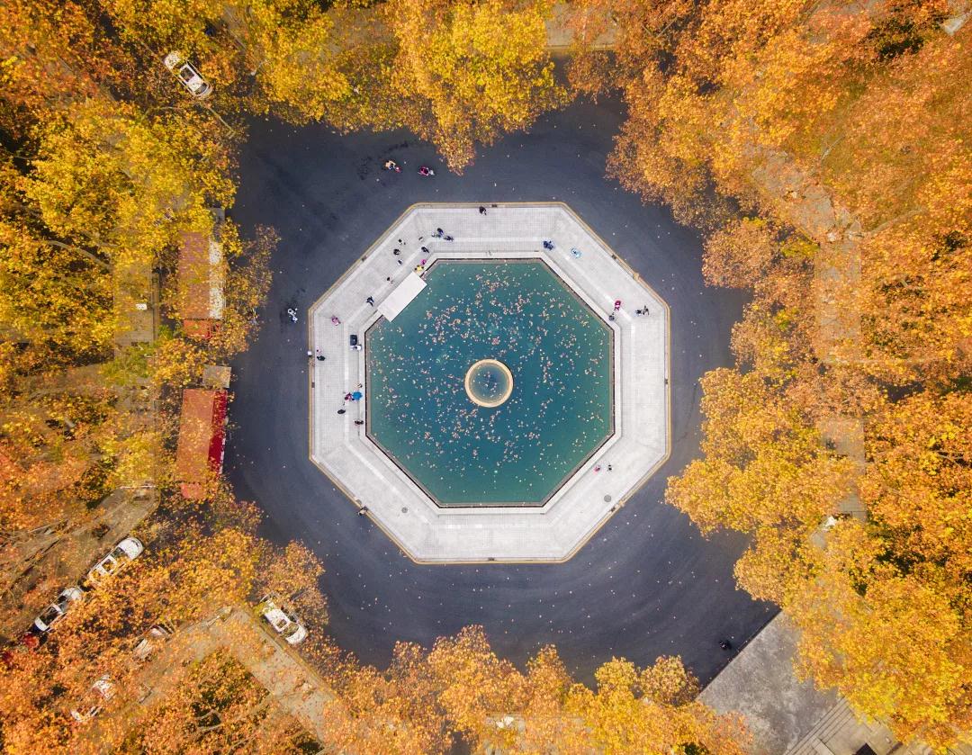 坐拥三大校区，占地5888亩，出门就是地铁，江苏这所985高校