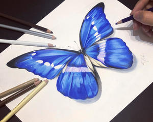 世界上最美丽的蝴蝶——光明女神闪蝶,制成的标本能够换一辆车