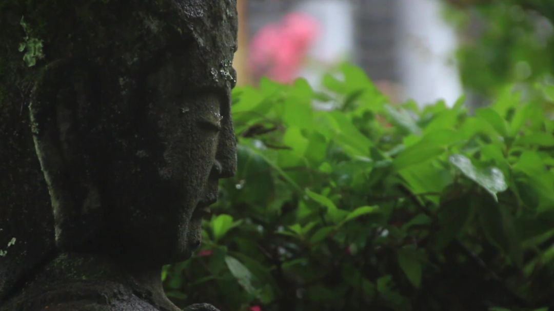 南北东西总是禅，十二首有关禅心的诗词，看古诗词里的禅意