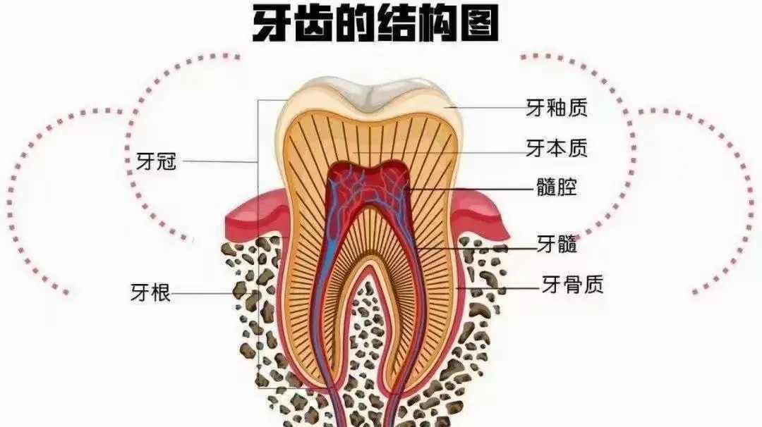 诚心弘扬国粹 笑口吟诵箴言