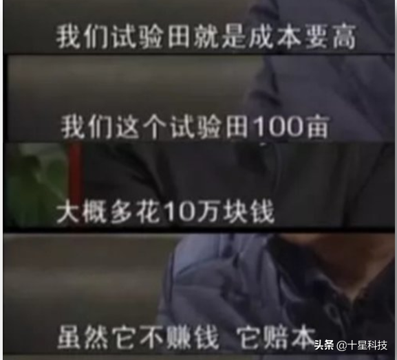 河南省选大穗小麦品种：不选河北的，要选陕西的，为什么呢？