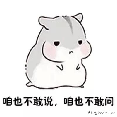 江西人说话，咱也听不懂咱也不敢问