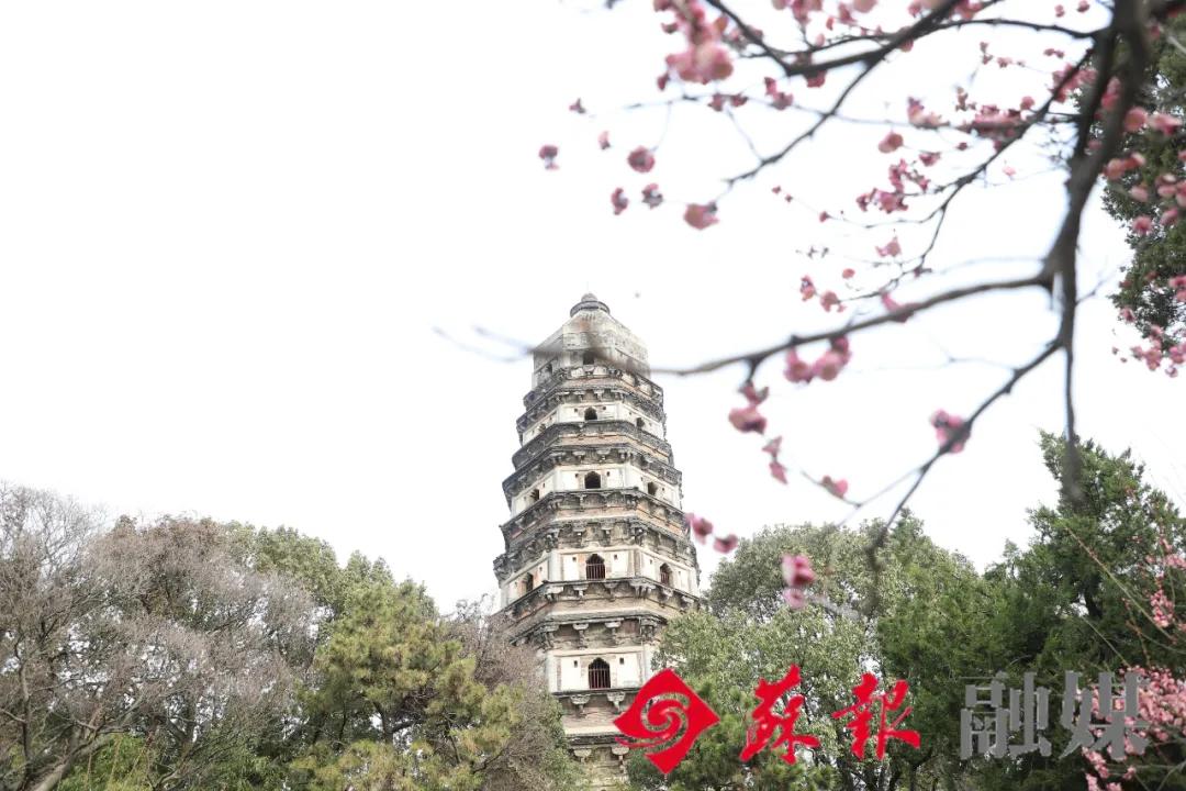 假期余额不足，苏州还有这十处美景值得打卡