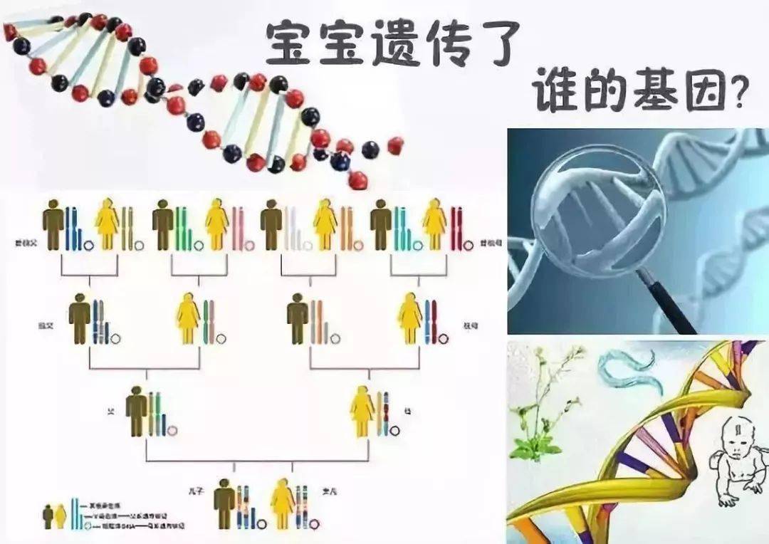 婴儿照片可爱图片大全（婴儿界中的）