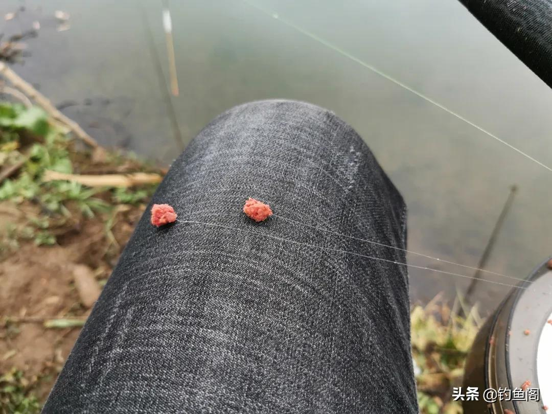 鱼钩和鱼线的秘密！了解这3种搭配方式，钓起鱼来得心应手