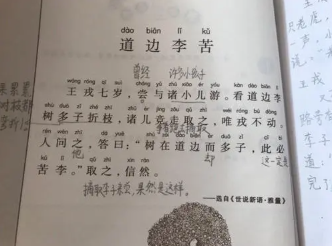 双减后，我们大手笔请了“一对一私教”，每天半小时只教一件事