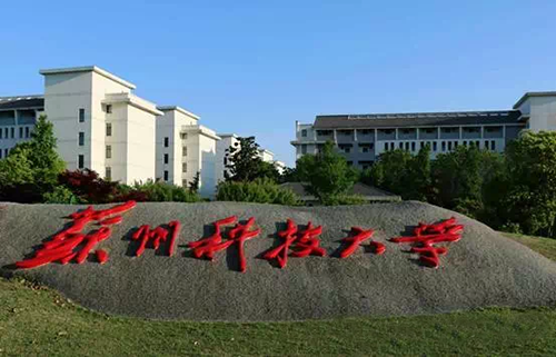 综合大学美术专业排名（一张16省美术类录取成绩表）