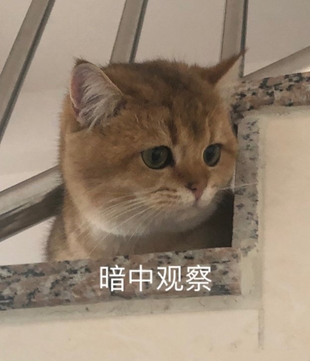 表情包：我只是一只对生活没追求的肥猫