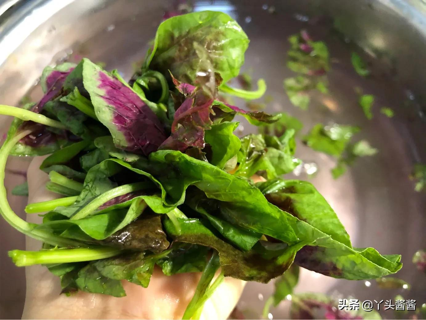 清明节前后,这种蔬菜别错过,富含天然叶酸,孕妇小孩要多吃