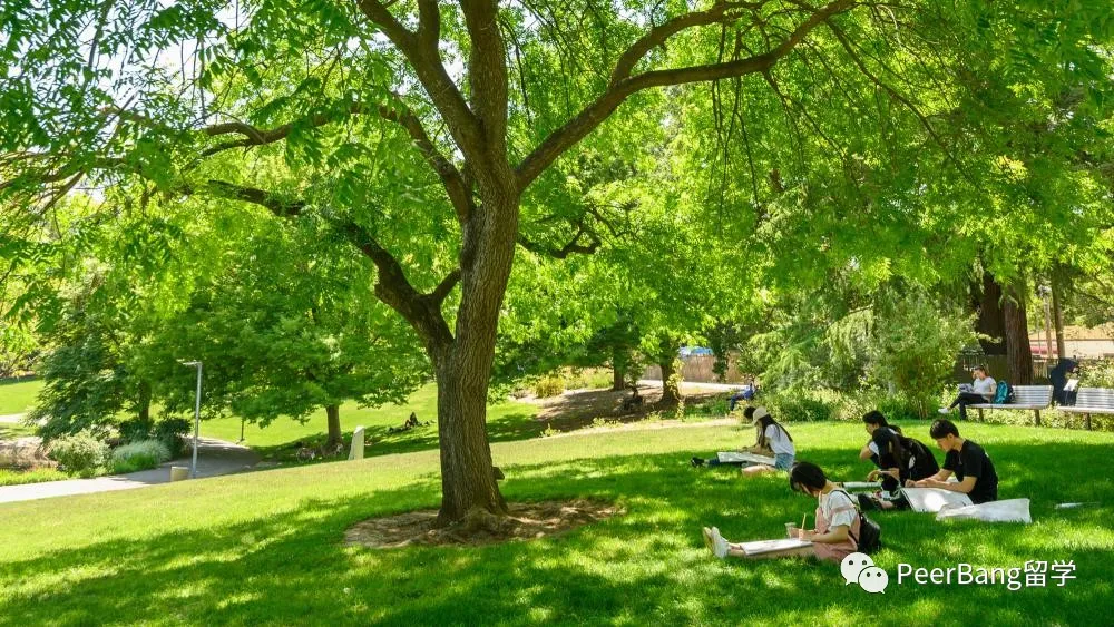 美国前40里，录取率最友好的UC大学是哪所？