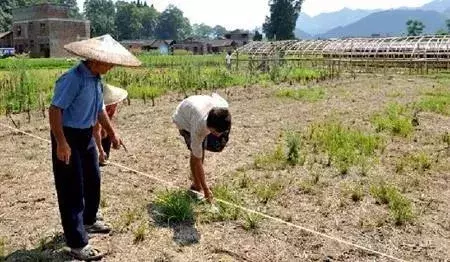一亩地是几米x几米(土地计量单位亩与平方米的换算)