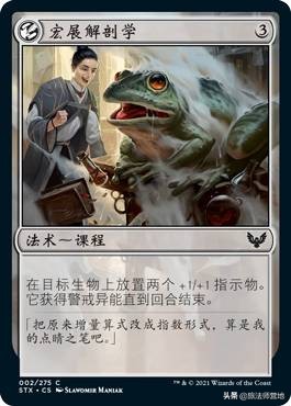 「万智牌」斯翠海文？原来它是个魔法学校