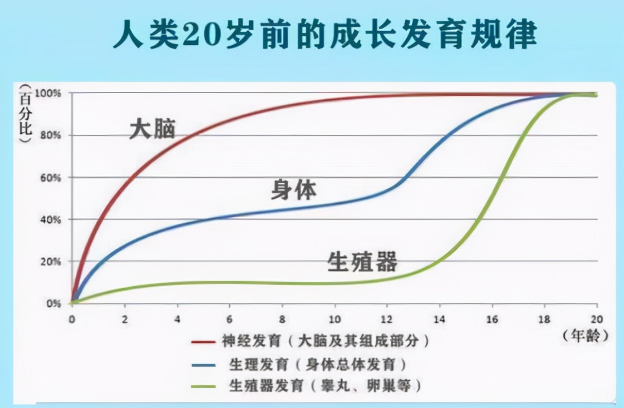 哈佛心理学家：将来智商高的娃，六岁前就表现出不同，你家娃如何