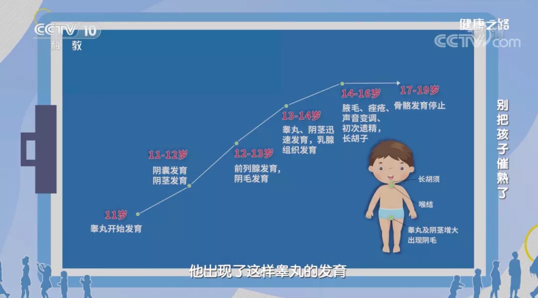 可以对照这份表格看看男孩9岁前出现睾丸发育,喉结和胡须有明显变化.