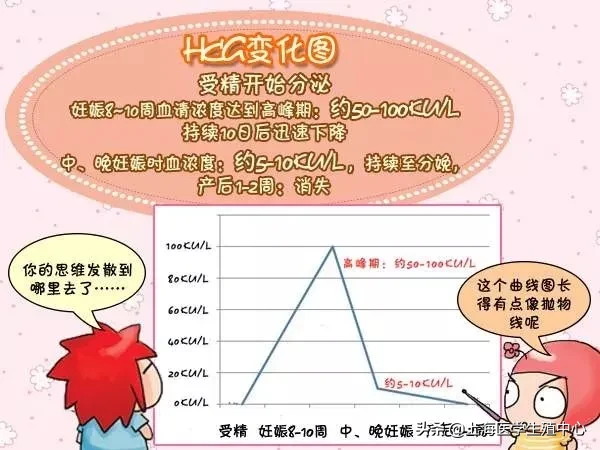 HCG不仅仅在自然受孕中作用很大，在试管助孕中也同样发挥着重要作用！