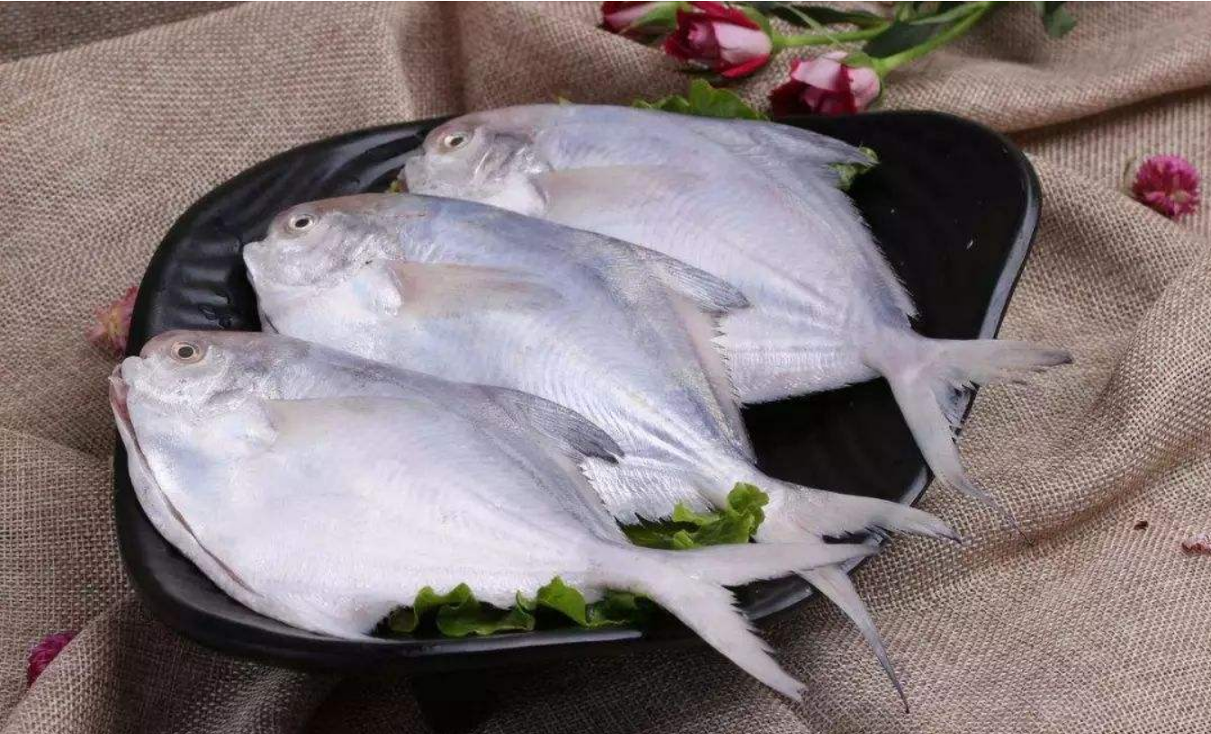 红鲳鱼的家常做法(家中美味，红鲳鱼烹饪全攻略)