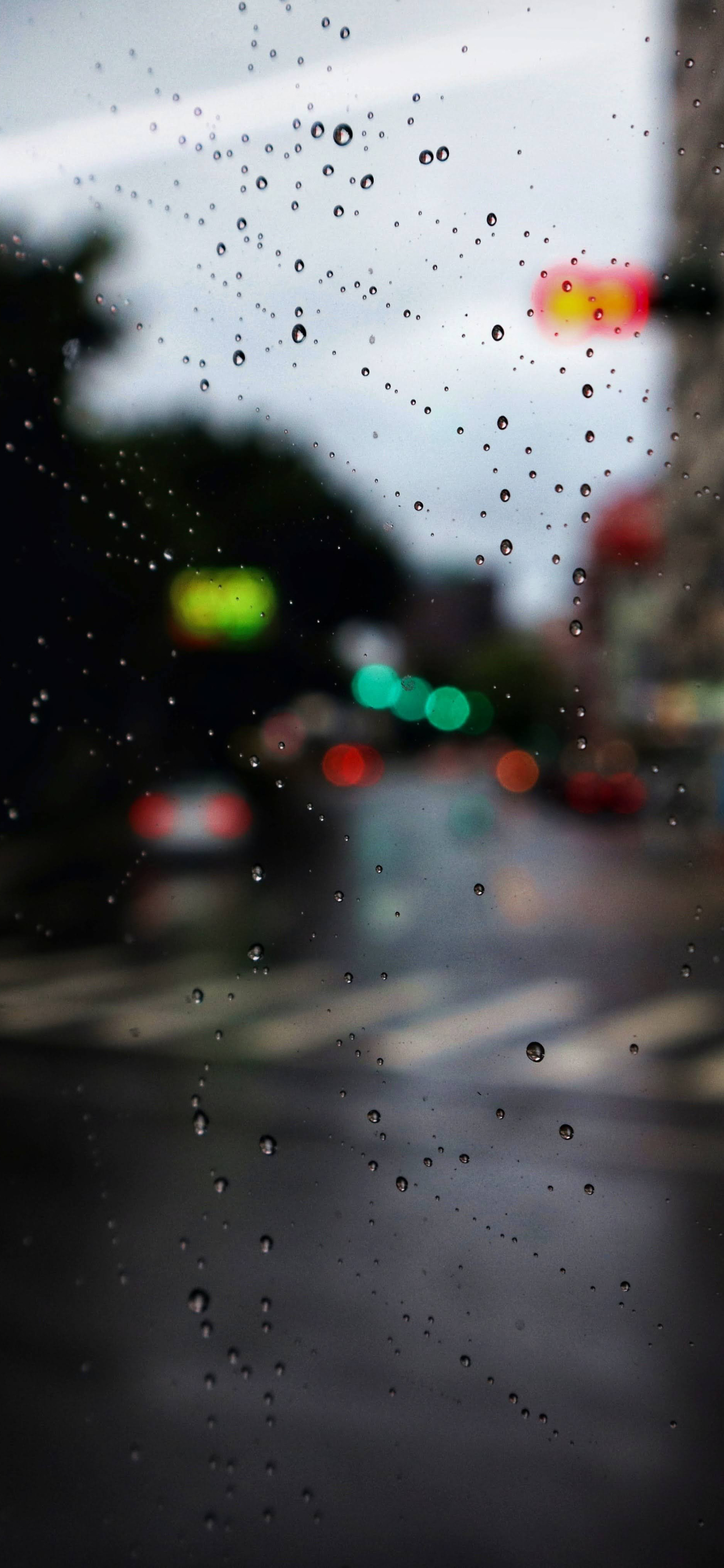 壁纸丨有些人能感受雨，而其他人只能被淋湿