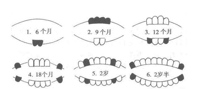 宝宝何时长牙、长牙规律、长牙信号，一篇文章全搞定