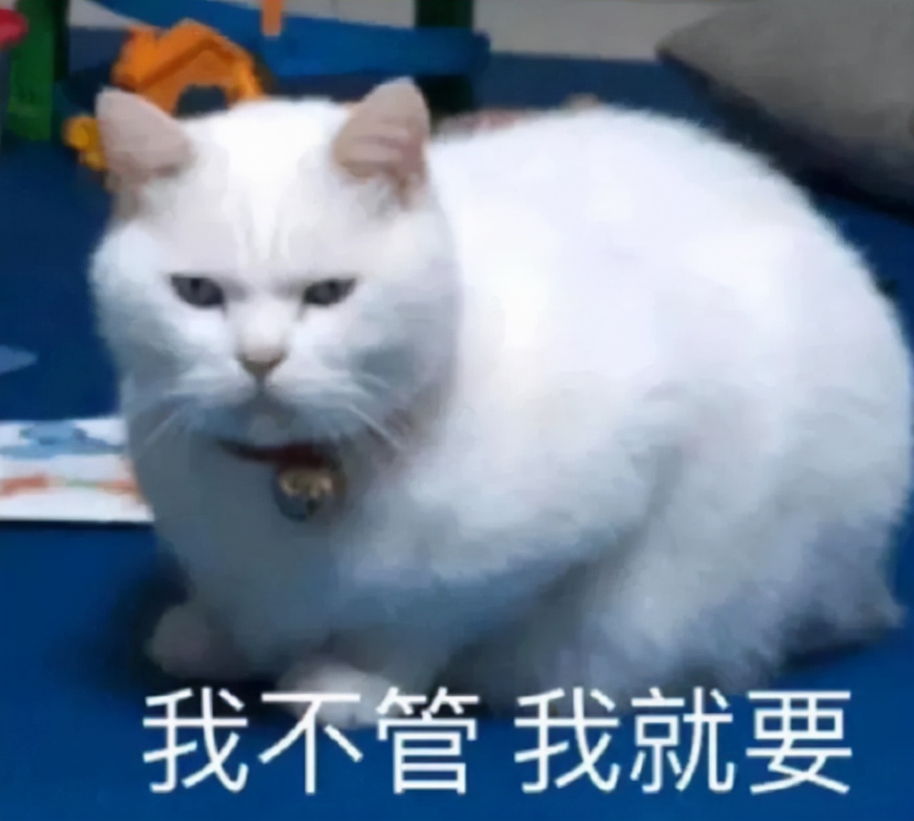 钮字除了关晓彤外的读音及含义解析

或者：

钮字读音解析：除关晓彤外的正确读法