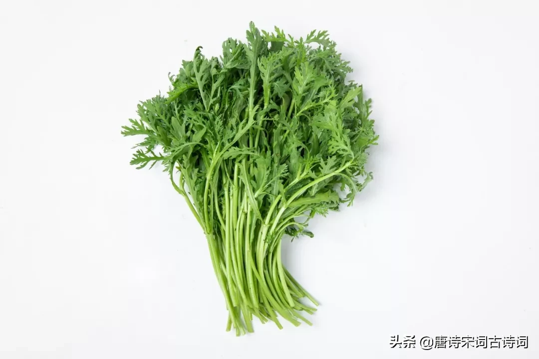 待到阴霾散尽，春光正好，我们赏读古诗词，品一品春天的味道