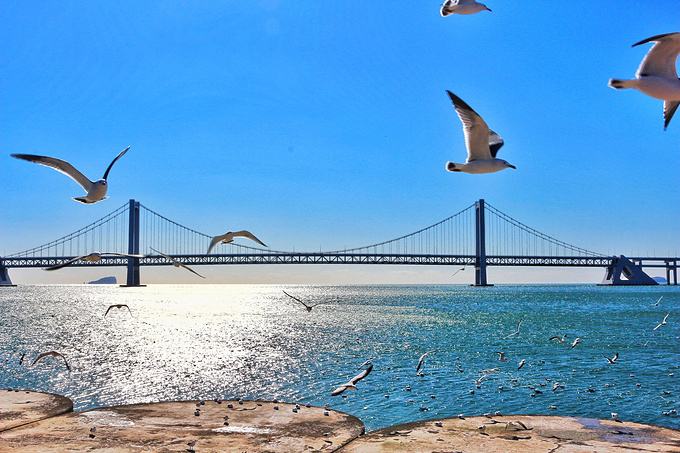 星海广场和跨海大桥