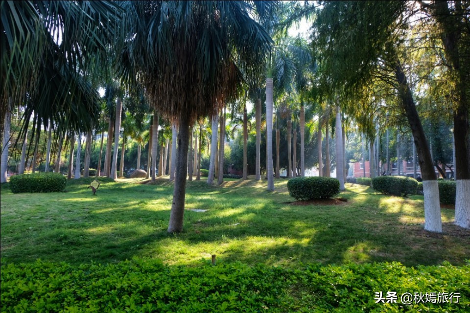 厦门这所临海而建大学，校园优美，沙滩迷人，被誉为中国最美大学