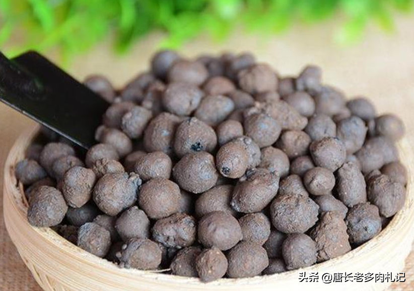 用汉白玉颗粒石代替陶粒给多肉使用，无论是铺面还是垫底效果都差