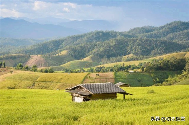 曹雪芹的理想国：一畦春韭绿，十里稻花香