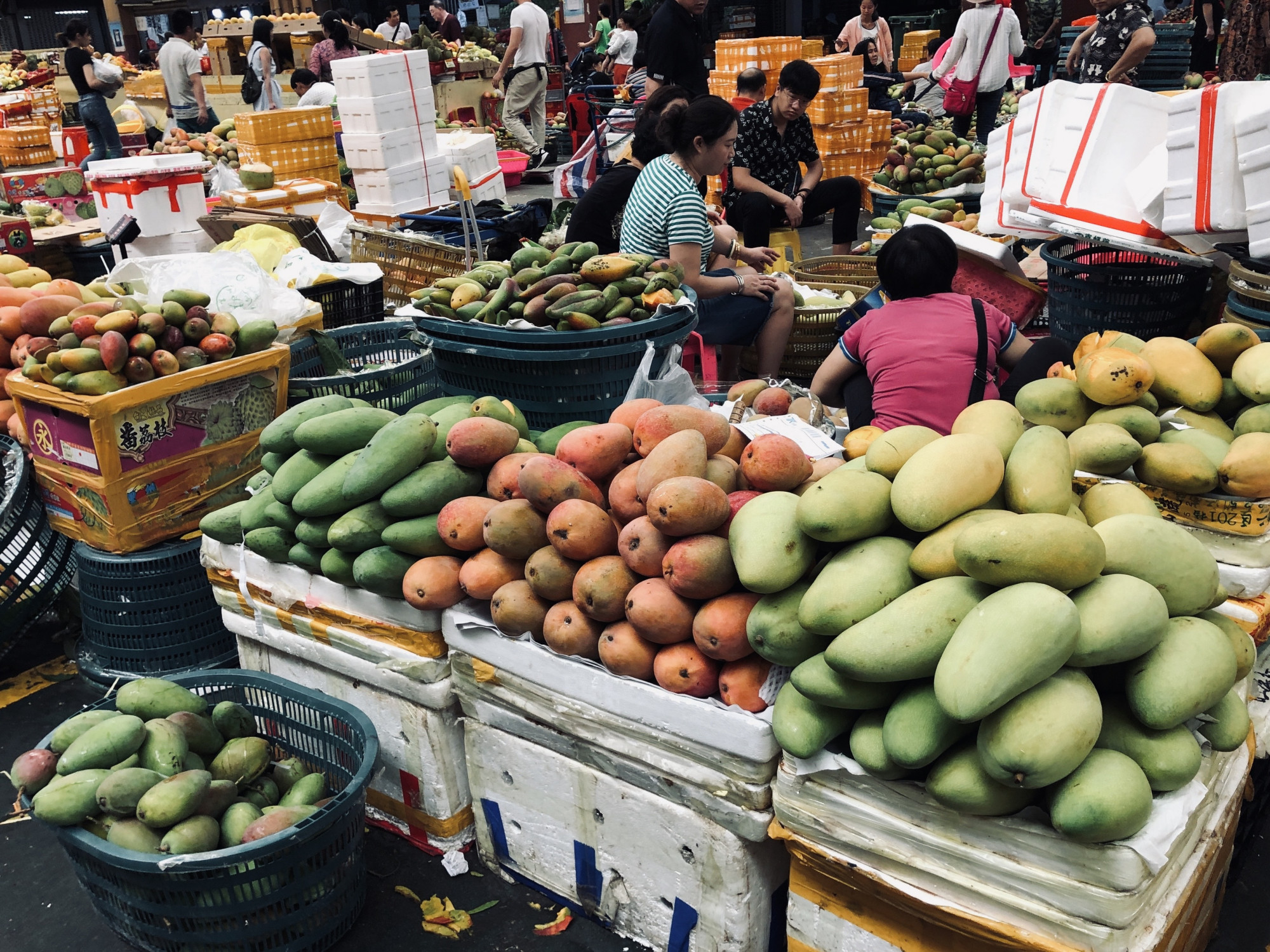 三亚最大的水果批发市场,很多小伙伴表示快递费比水果还贵 