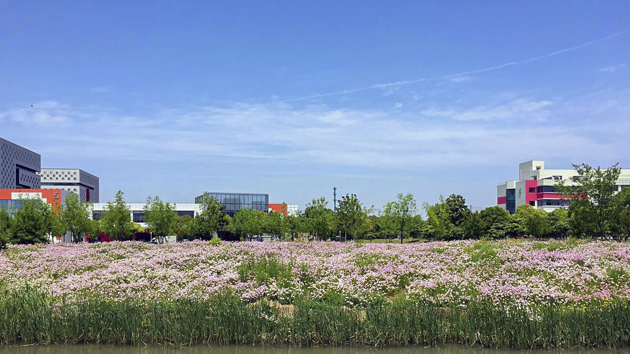 招生1024人学费5万元每年，上海艺术学院2021年录取数据分析