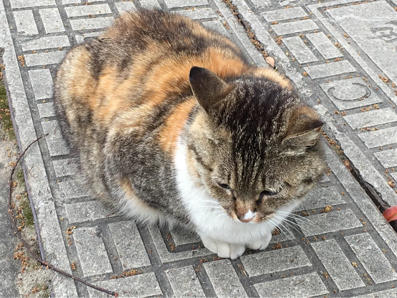 颜值这么高，是哪所高校呢？苏州大学独墅湖校区正在越变越美