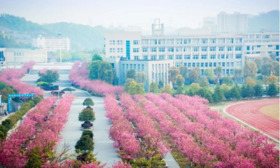 湖北四所高校计划合并？向“双一流”冲刺，网友：校名咋整啊？