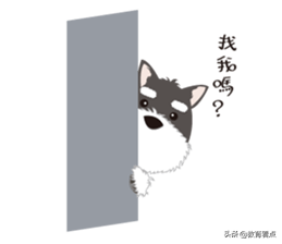 “知道真相的我，才发现广东邮电职院这专业那么上头...”