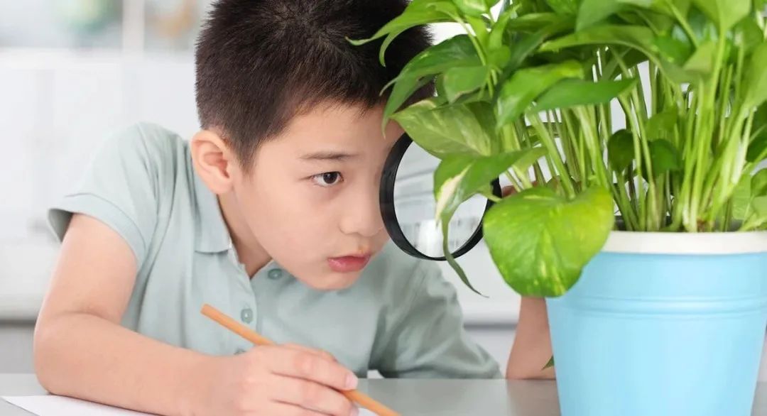 太原大成学校，为学生的终身发展奠基