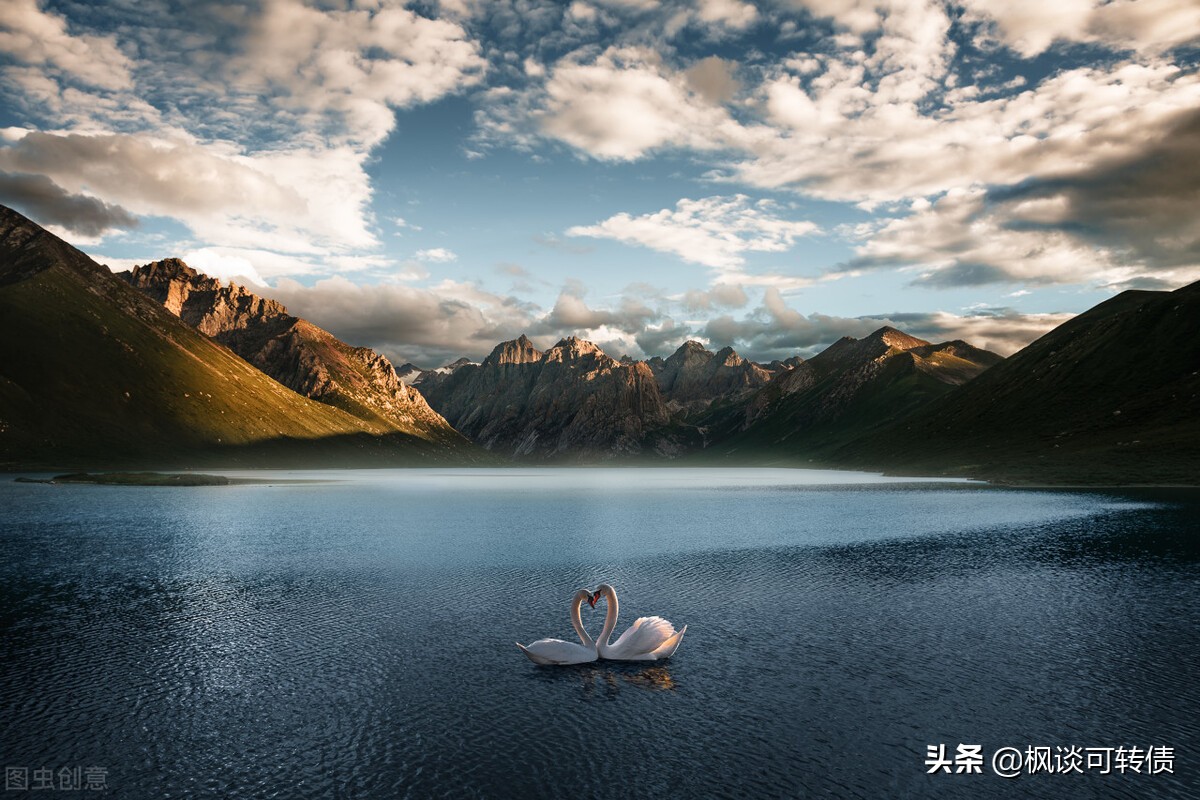 可转债抢权配售，是挣钱利器还是亏钱手艺？