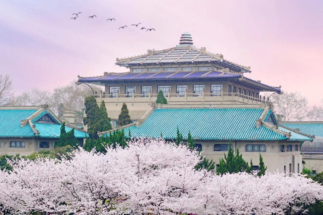 国内那些风景如画的大学，上学好似“度假”，书香与美景并存