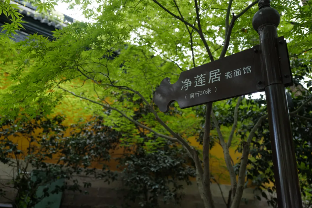 再有人问你杭州怎么玩,把这篇文章甩给他