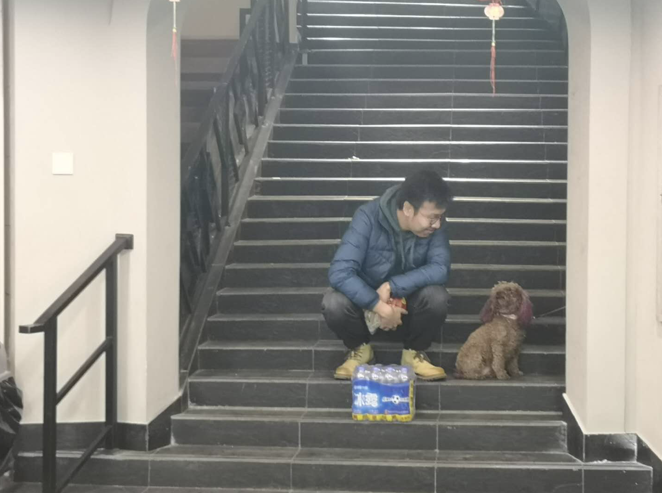 再见了，探探