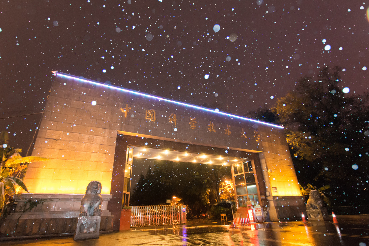 2020安徽省大学最新10强排名，中科大第1，安大第3