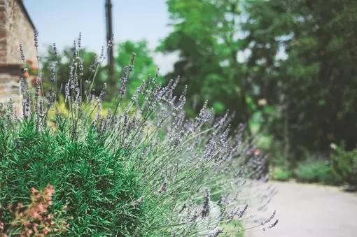 11首现代诗歌，静静的去聆听吧