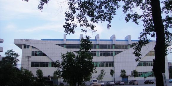 2019年兴国平川中学高考喜报