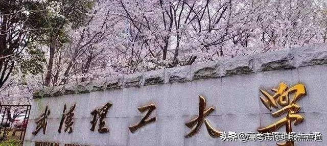 武汉理工大学有哪些专业（武汉理工大学优势专业分析及2019）