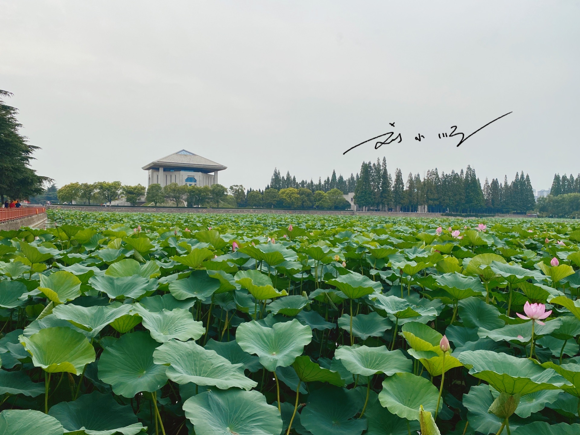 江苏省淮安市：经济水平排名全省倒数，今年房价涨幅却名列前茅