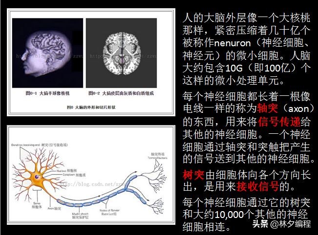 「Python人工智能」 一.神经网络入门及theano基础代码讲解