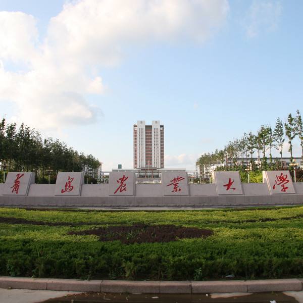 考研率高达92.6%，堪称中国第一考研神校