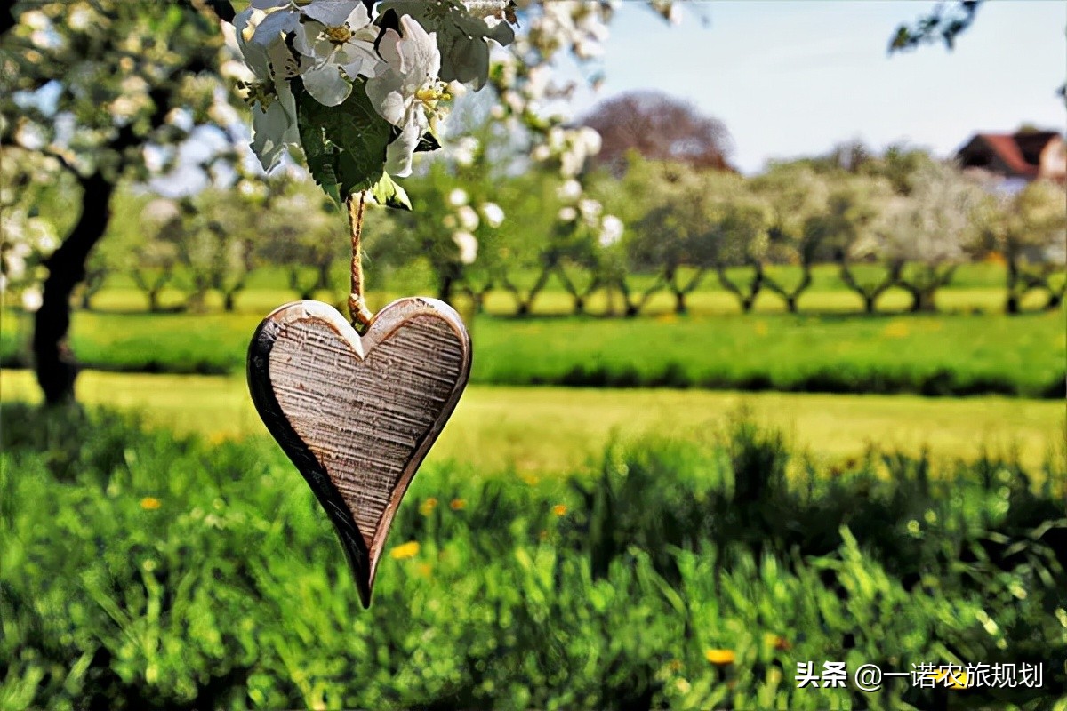 家庭農(nóng)場如何發(fā)展生態(tài)農(nóng)業(yè)？